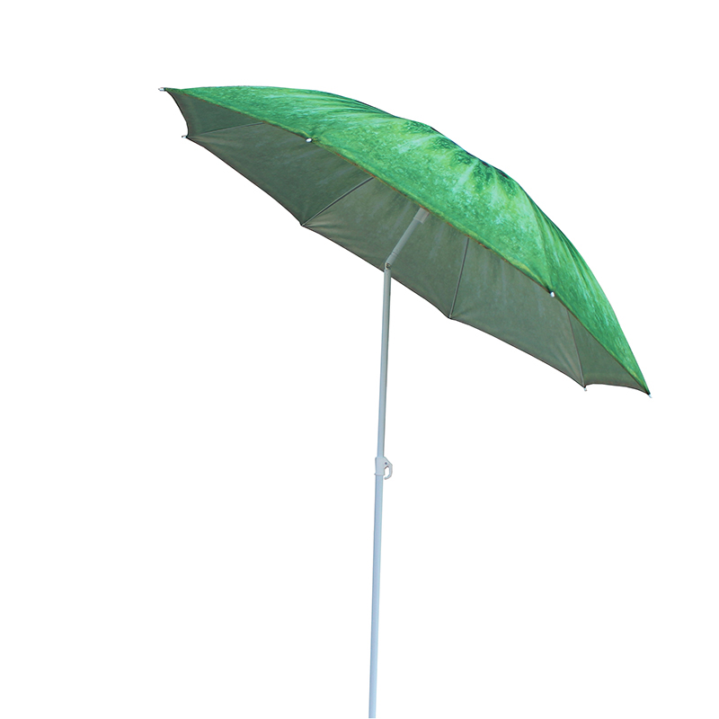 ইস্পাত ফ্রেম বিচ প্যারাসল বু 1905