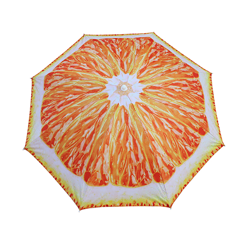 ইস্পাত ফ্রেম বিচ প্যারাসল বু 1905