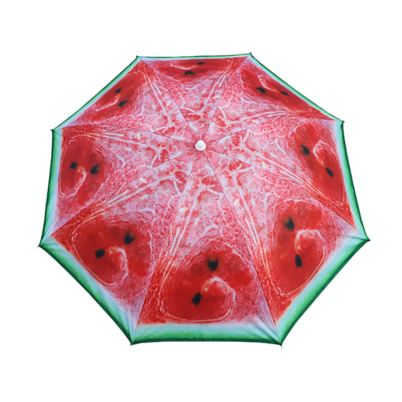 ইস্পাত ফ্রেম বিচ প্যারাসল বু 1905